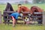 horses look at man repairing  flat tire